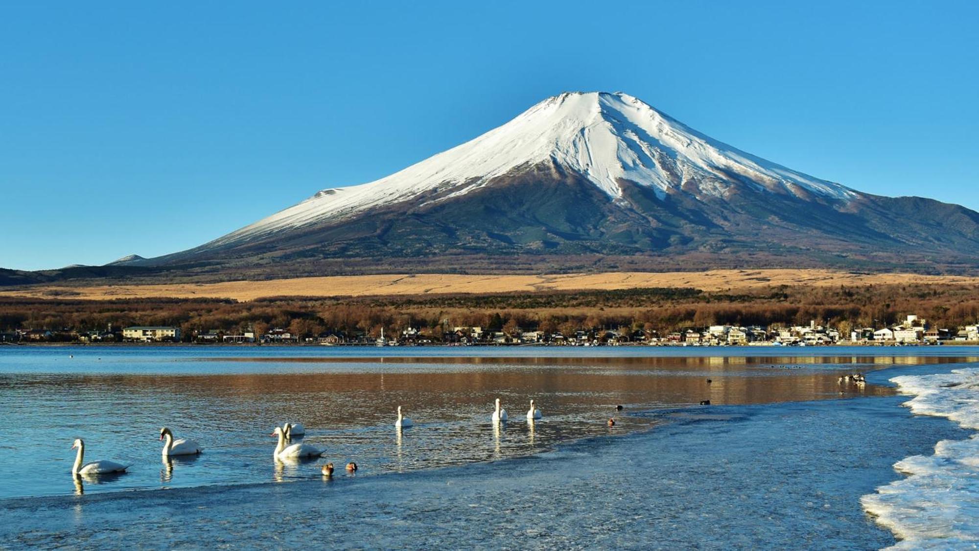 Toyoko Inn Shin-Fuji-Eki Minami-Guchi Фудзі Екстер'єр фото