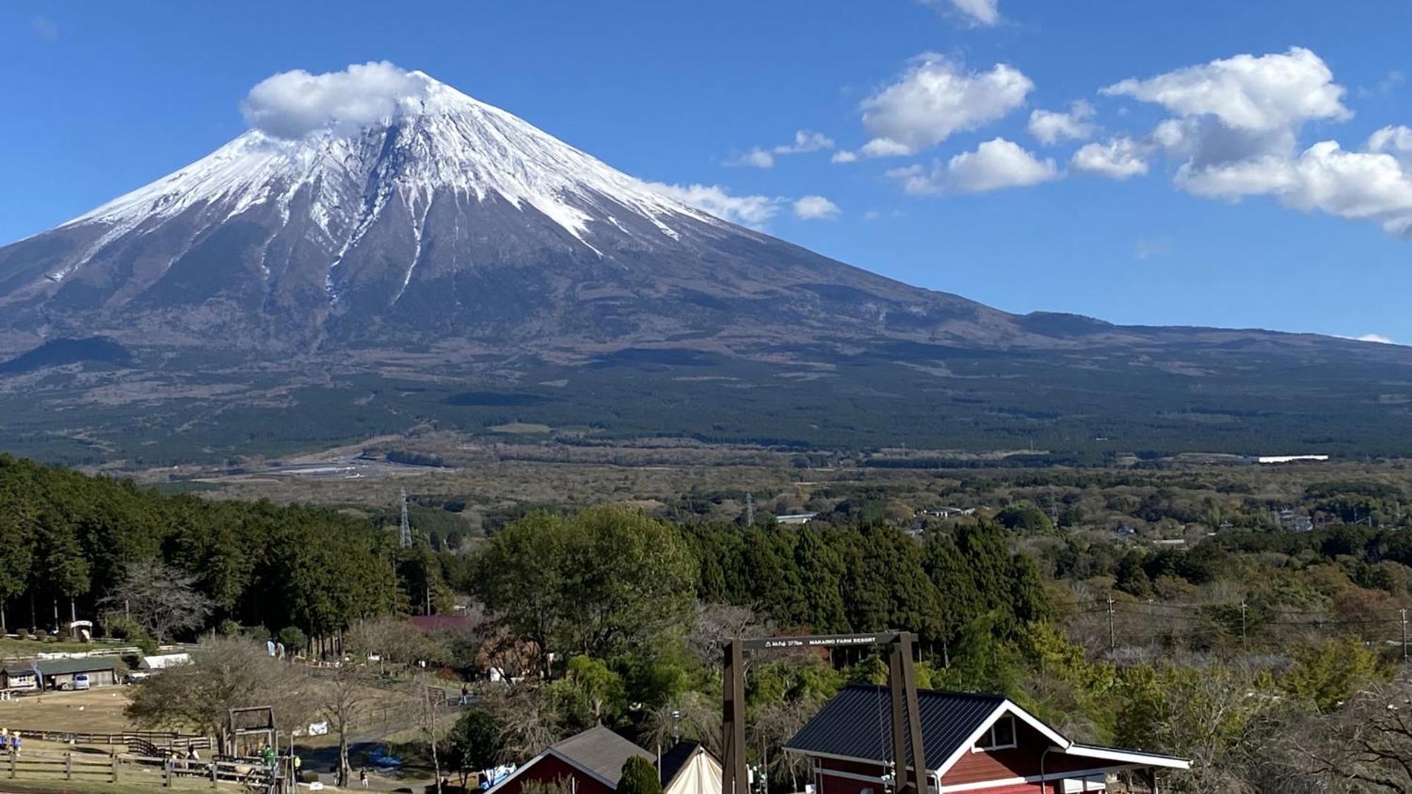 Toyoko Inn Shin-Fuji-Eki Minami-Guchi Фудзі Екстер'єр фото